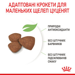Сухий корм для цуценят ROYAL CANIN MINI PUPPY (домашня птиця), 8 кг