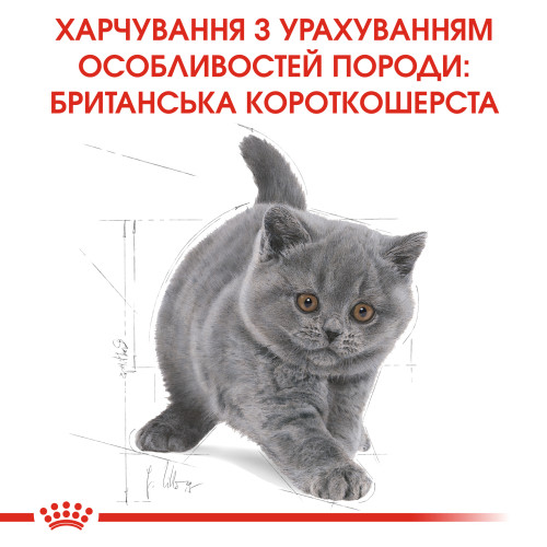 Сухий корм для кошенят ROYAL CANIN KITTEN BRITISH SHORTHAIR 400 г