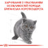 Сухий корм для кошенят ROYAL CANIN KITTEN BRITISH SHORTHAIR 400 г