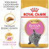 Сухий корм для кошенят ROYAL CANIN KITTEN BRITISH SHORTHAIR 400 г