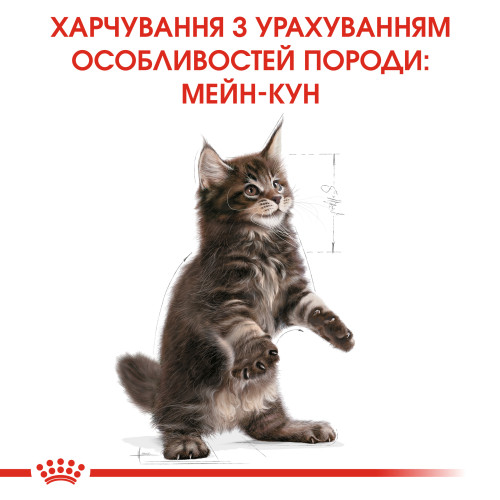 Сухий корм для кошенят ROYAL CANIN MAINECOON KITTEN 400 г