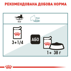 Вологий корм для дорослих котів ROYAL CANIN HAIRBALL CARE 85г x 12 шт.