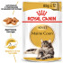 Вологий корм для дорослих котів ROYAL CANIN MAINECOON ADULT 85г x 12 шт.