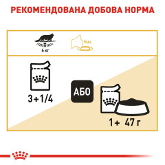 Вологий корм для дорослих котів ROYAL CANIN MAINECOON ADULT 85г x 12 шт.
