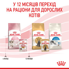 Вологий корм для кошенят ROYAL CANIN KITTEN IN JELLY 85г x 12 шт.