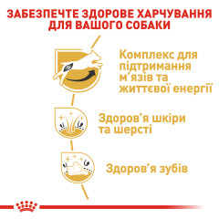 Сухий корм для дорослих собак породи Джек-рассел-тер'єр ROYAL CANIN JACK RUSSEL ADULT (домашня птиця), 1.5 кг