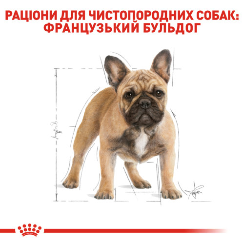 Сухий корм для дорослих собак породи Французький бульдог ROYAL CANIN FRENCH BULLDOG ADULT (домашня птиця), 3 кг