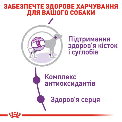 Сухий корм для дорослих собак гігантських порід ROYAL CANIN GIANT ADULT (домашня птиця), 15 кг