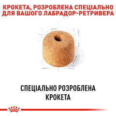 Сухий корм для дорослих собак породи Лабрадор-ретривер ROYAL CANIN LABRADOR ADULT (домашня птиця), 12 кг