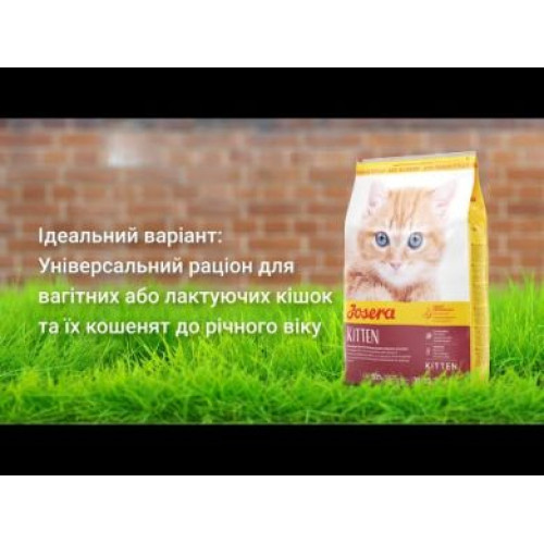 Сухий корм JOSERA Kitten для кошенят та вагітних кішок 400 г