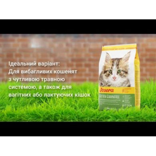 Josera Kitten grainfree беззерновий корм для кошенят 10 кг