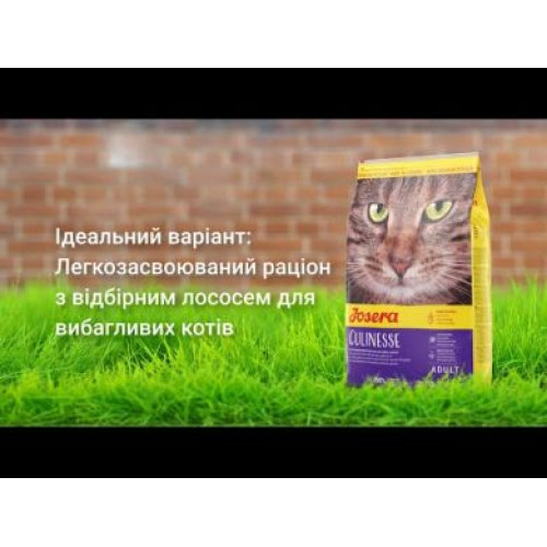Сухий корм JOSERA Culinesse для дорослих котів та кішок 10 кг