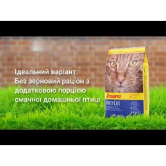 Беззерновий сухий корм JOSERA DailyCat для дорослих котів та кішок 10 кг