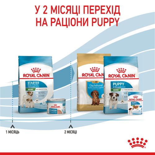 Сухий корм для новонароджених собак малих порід ROYAL CANIN MINI STARTER (домашня птиця), 1 кг