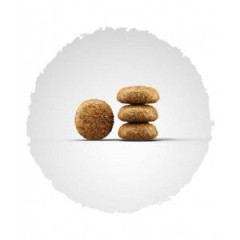 Сухий корм для дорослих собак малих порід JOSERA Miniwell (домашня птиця), 10 кг