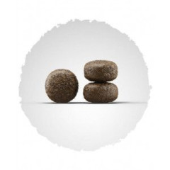 Сухий корм для дорослих собак JOSERA Lamm + Reis (Ягня та Рис), 12,5 кг