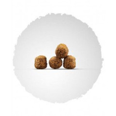 Сухий корм для вагітних сук та цуценят JOSERA Family Plus (домашня птиця), 15 кг