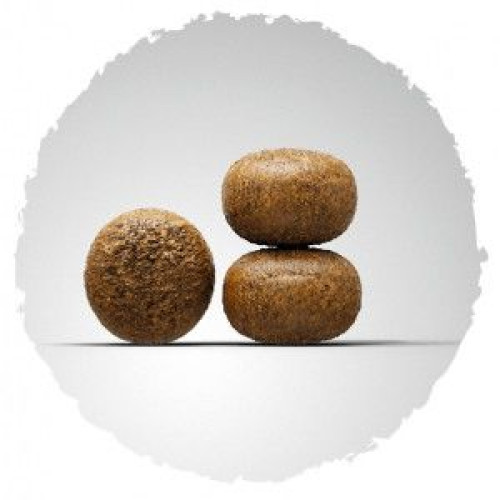 Сухий беззерновий корм для цуценят та юніорів JOSERA YoungStar (домашня птиця, картопля), 15 кг