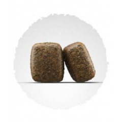 Сухий беззерновий корм для дорослих собак JOSERA Geflugel + Forelle (домашня птиця, форель), 15 кг