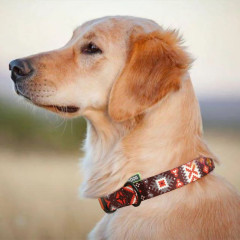 Нашийник для собаки TM HIDOG Вишиванка