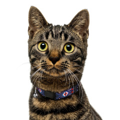 Нашийник для кота ТМ HIDOG Aztec purple