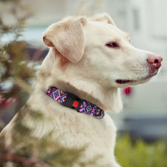 Нашийник для собаки ТМ HIDOG Aztec