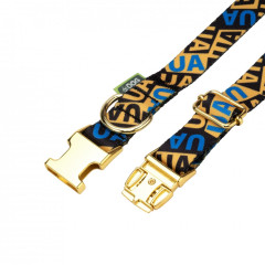 Нашийник для собаки ТМ HIDOG Молодіжний нейлоновий з металевим фастексом