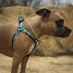 Шлея ТМ HIDOG Alaska