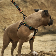 Шлея ТМ HIDOG Boha green