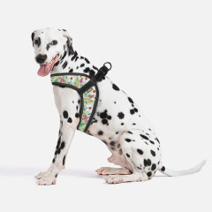 Шлея ТМ HIDOG COMFORT Flowers mint green