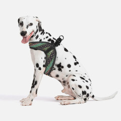 Шлея ТМ HIDOG COMFORT Boha green