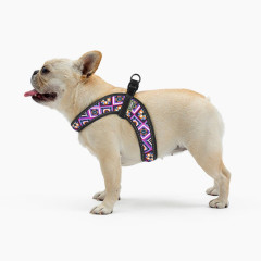 Шлея ТМ HIDOG COMFORT Aztec