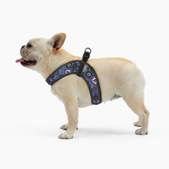 Шлея ТМ HIDOG COMFORT Aztec purple