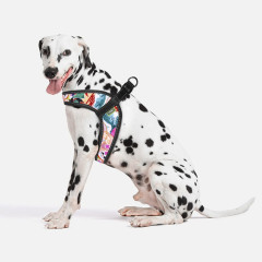 Шлея ТМ HIDOG COMFORT Japan