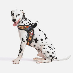 Шлея ТМ HIDOG COMFORT Safari