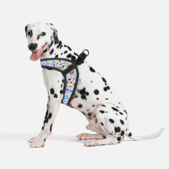 Шлея ТМ HIDOG COMFORT Flowers blue