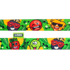 Повідець ТМ HIDOG Crazy green fruits