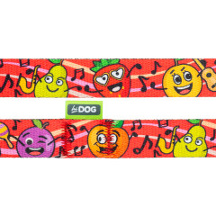 Повідець ТМ HIDOG Crazy red fruits