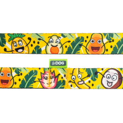 Повідець ТМ HIDOG Crazy yellow fruits