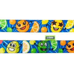 Повідець ТМ HIDOG Crazy blue fruits