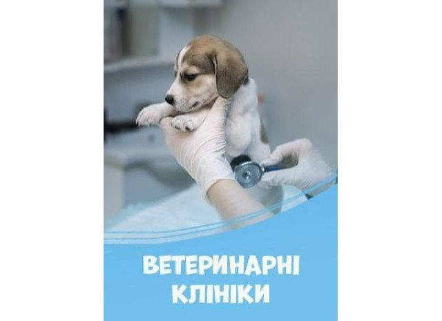 Ветеринарні клініки Івано-Франківська