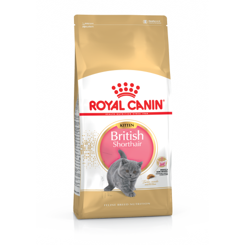 Сухий корм для кошенят ROYAL CANIN KITTEN BRITISH SHORTHAIR 400 г