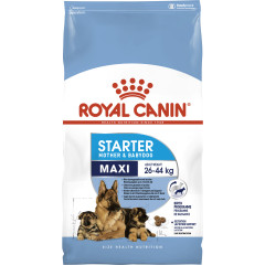 Сухий корм для новонароджених собак великих порід ROYAL CANIN MAXI STARTER (домашня птиця), 4 кг