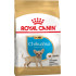 Сухий корм для цуценят породи Чихуахуа ROYAL CANIN CHIHUAHUA PUPPY (домашня птиця), 1.5 кг